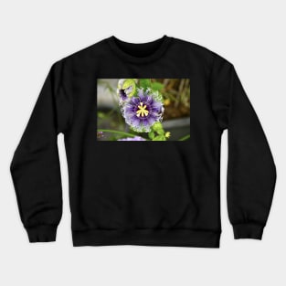 Passionsblume / Swiss Artwork Photography Crewneck Sweatshirt